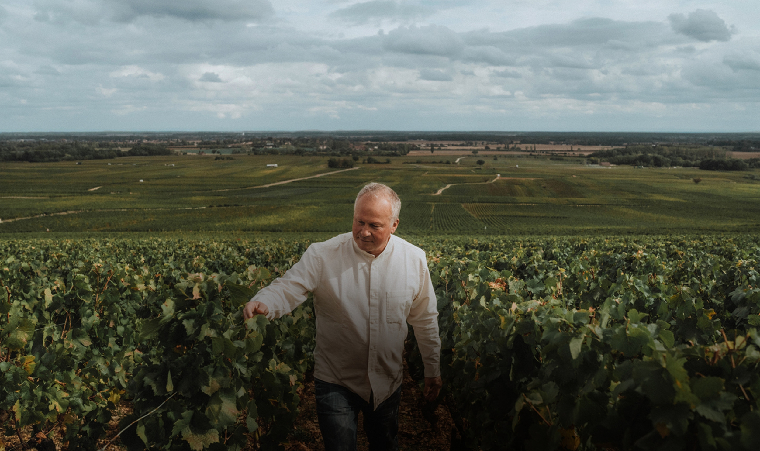Domaine de Montille